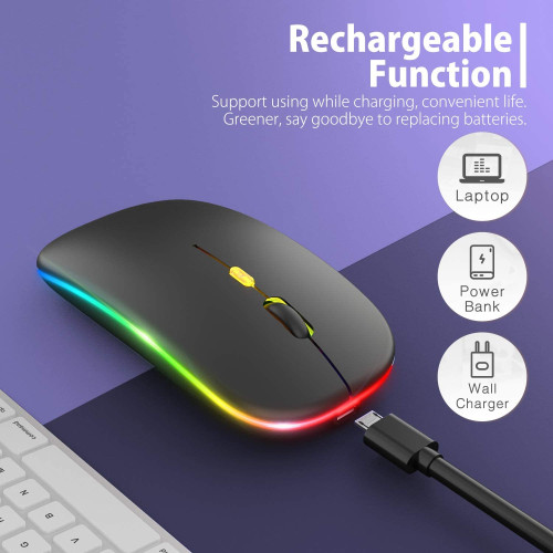 Mouse